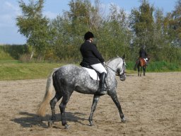 LF HSC - 0338_web